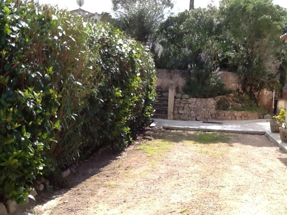 10 Casa Scaledda 3 Etoiles Holiday home